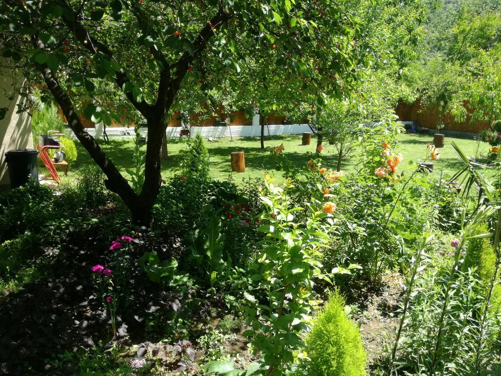 Riverside Guesthouse Pocitelj Εξωτερικό φωτογραφία
